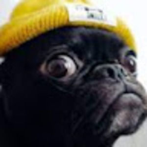 Meet your Posher, Jackson